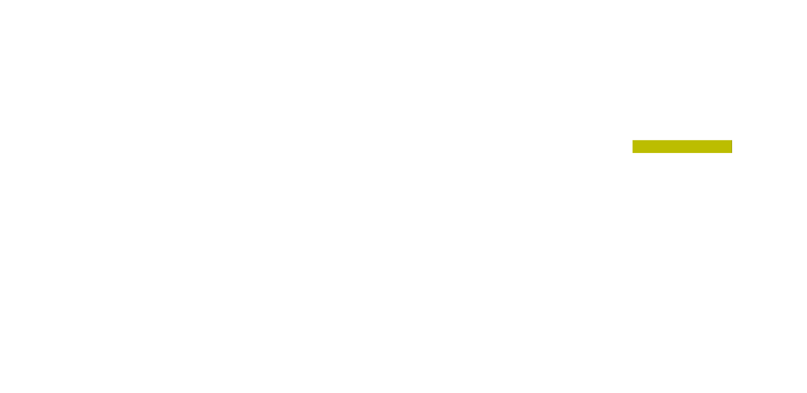 Serrurier Point Fort Fichet à Schiltigheim